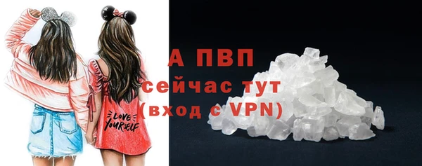 индика Балабаново