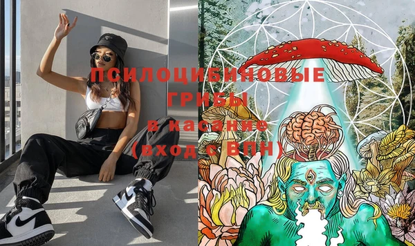 кокаин Белокуриха