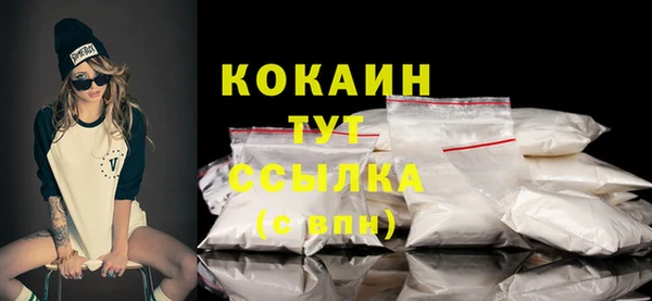 прущие грибы Беломорск
