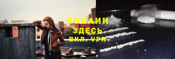 индика Балабаново