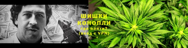 индика Балабаново