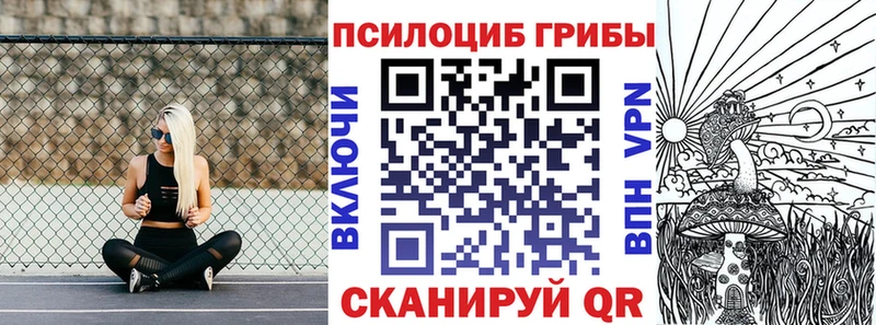 KRAKEN зеркало  Кушва  Псилоцибиновые грибы Magic Shrooms 