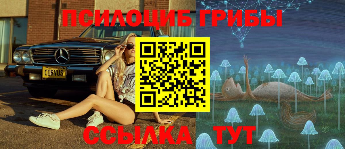 Псилоцибиновые грибы Psilocybine cubensis  Галлюциногенные грибы мицелий  Кушва  Вход с VPN 