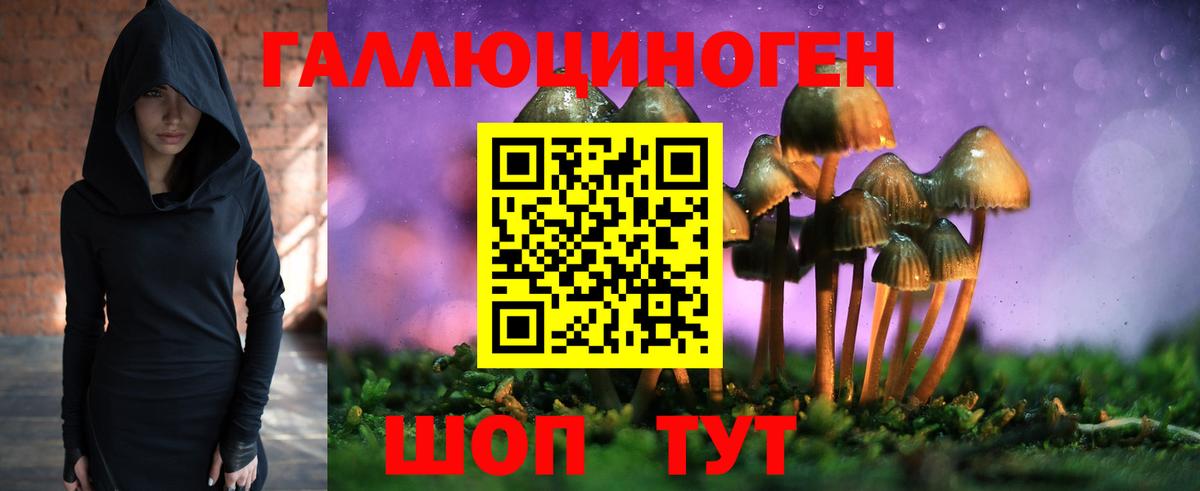 Галлюциногенные грибы Psilocybine cubensis Кушва